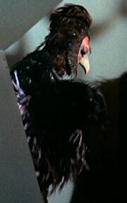 Humanoid bird