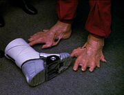 Dax's feet