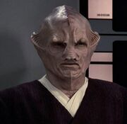 Orek