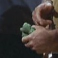 Borgia Plant