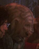 Antican Bonestell