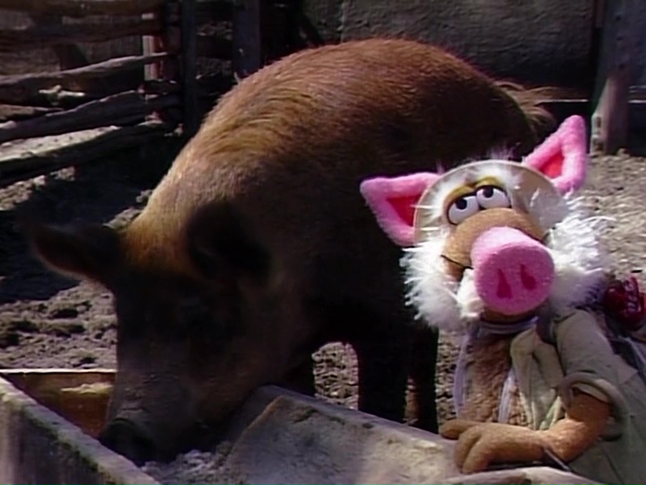 Unclemattpig