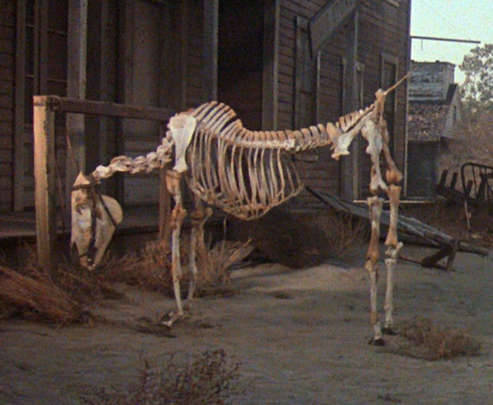 Ghosthorse