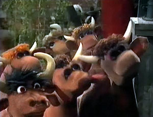 Character.cows