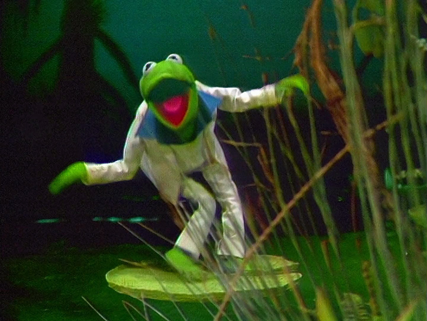 the frogs musical the frogs musical