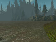 South Tide's Run