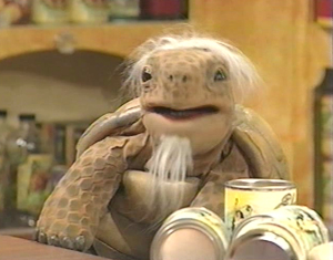 Jeremiahtortoise