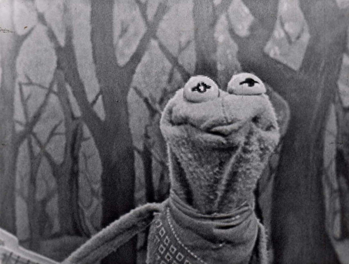 Horsenamedbill-sam