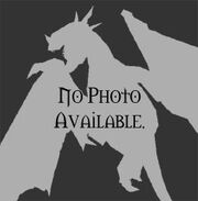 Dragon nopic