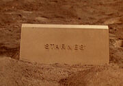 Starnes tombstone