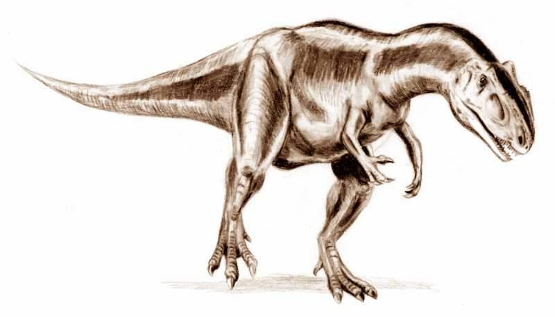 prehistoric kingdom allosaurus