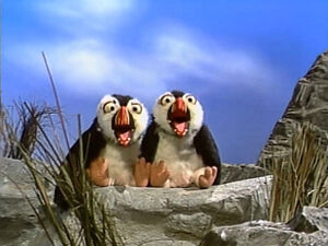 Puffins