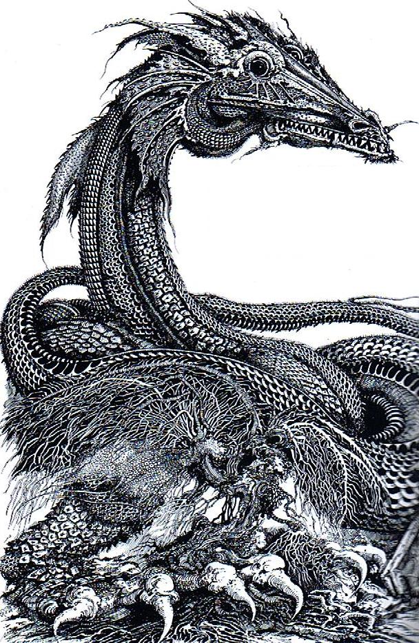Scatha Lord of the Rings Wiki