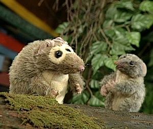 Thepossums