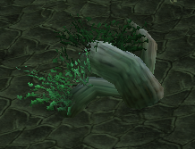 Shadowmoon tuber2