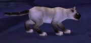 Mrbigglesworth