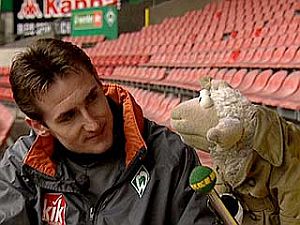 Miroslavklose
