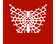 Ruin tabard