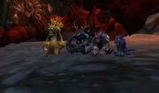 Allthedruids