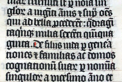 Calligraphy.malmesbury.bible.arp