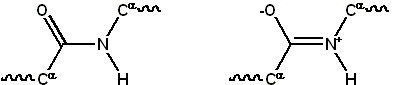 Peptide group resonance