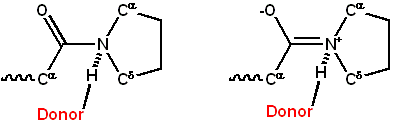 Prolyl peptide group resonance