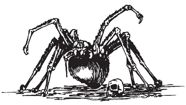 SpiderW1.JPG