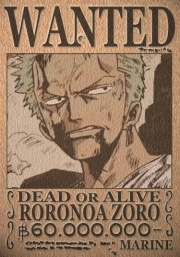 Steckbrief Zorro 60