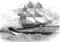 Daedalus