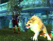 Xaxas companion