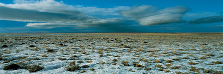 North european ice