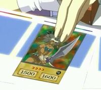 AmazonessSwordsWoman-EN-Anime-Mistake