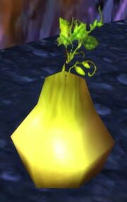 Sand Pear
