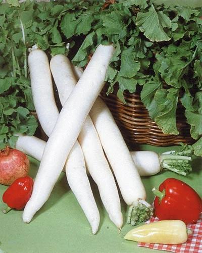 Daikon Recipes Wiki