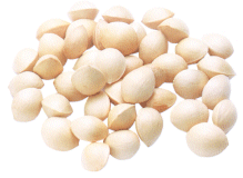 GinkgoNut
