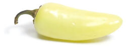 GueroChile