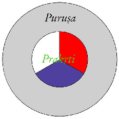 Purusa-Prakrti