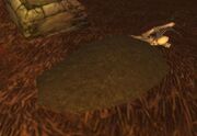 Loose Dirt Mound