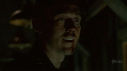 4x13KeamyOrchidee