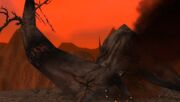 The Charred Oak