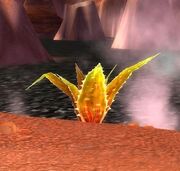 Incendia Agave