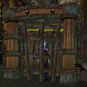 Dragonflayer Cage