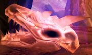 Grulloc's Dragon Skull
