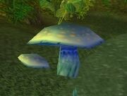 Laden Mushroom