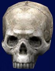 Nightsister Bloodline Skull