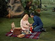 Picknick
