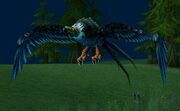 Swoop
