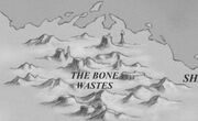 Bone Wastes
