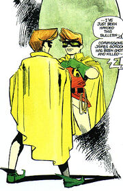 Robin DKR 01