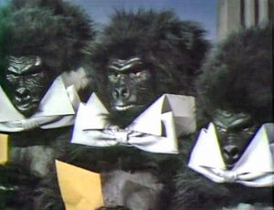 Oneofthesethings-gorillas